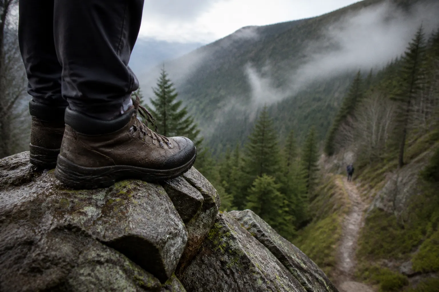 Sentier des Roches : le tracé le plus technique des Vosges