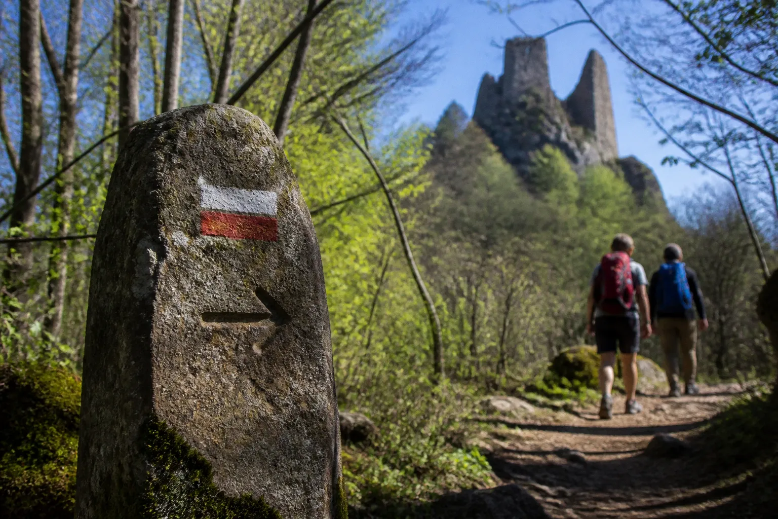 Trois châteaux de Ribeauvillé : le sens de boucle idéal